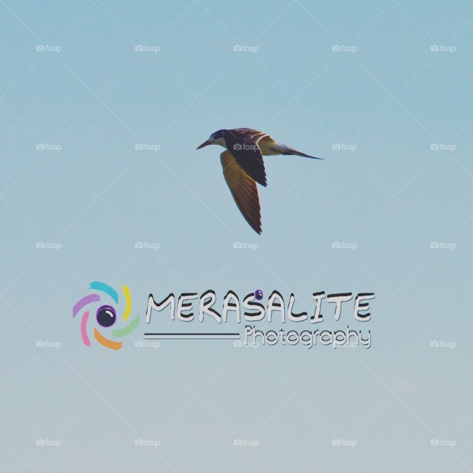 This pic from Sri Lanka koggela beach ..
I take buy my manuvel lance camera .. 