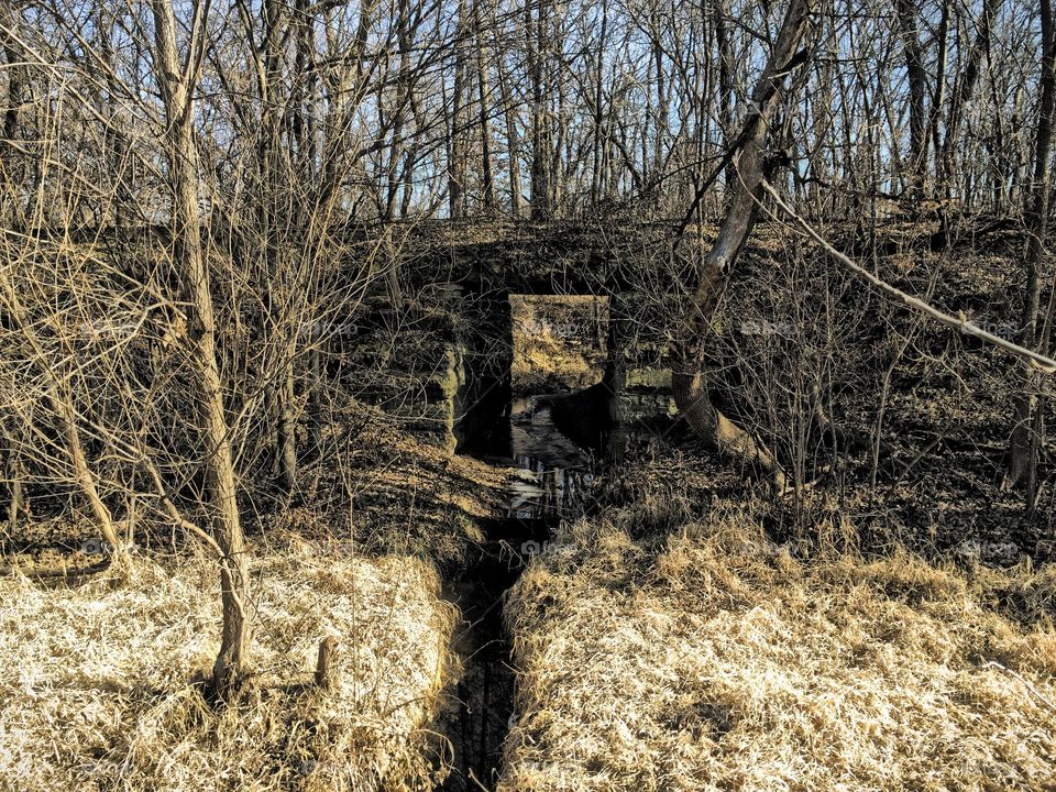 Old stone culvert. Used to carry the Rock Island Railroad across the small stream. 