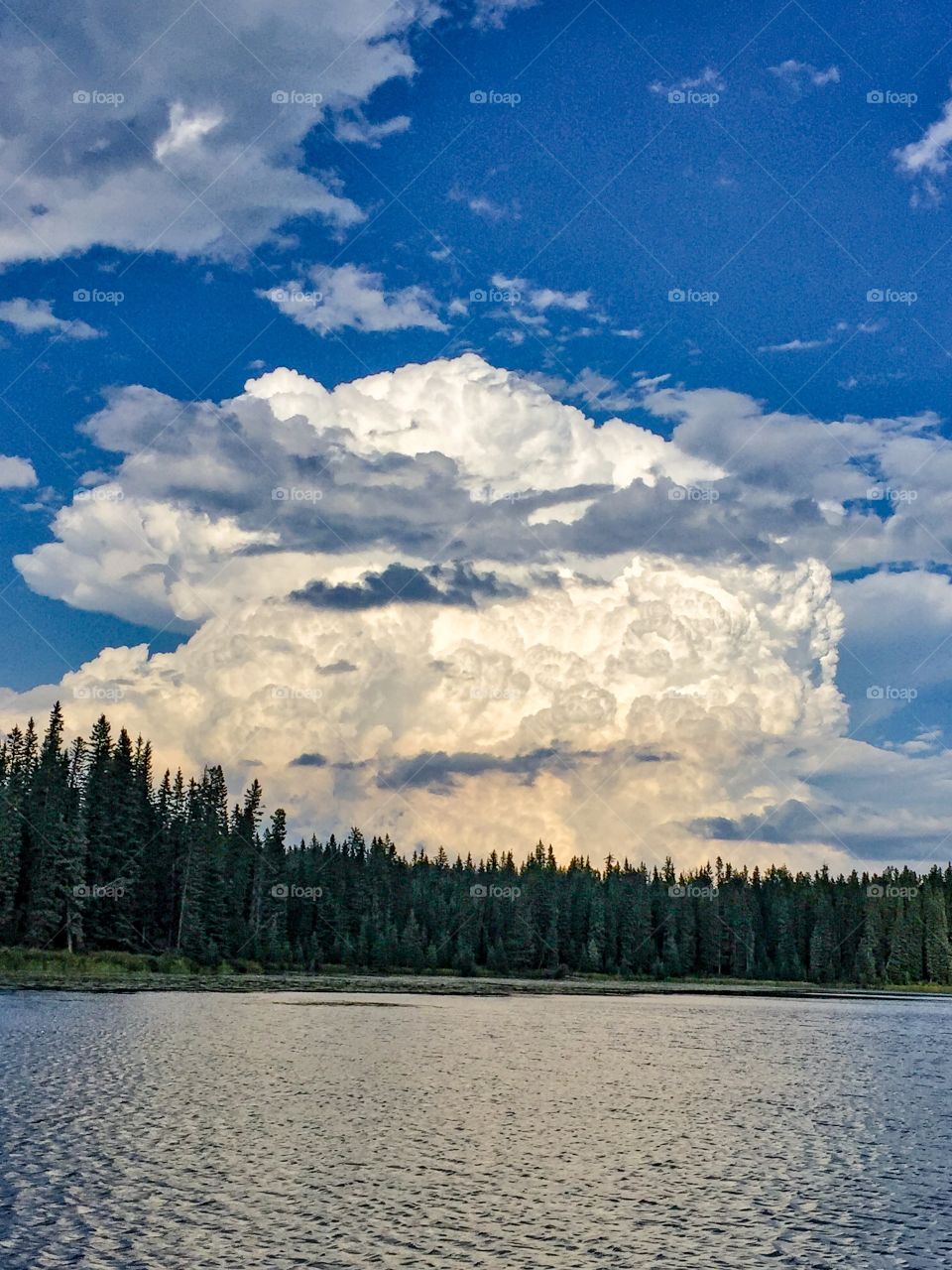 This was captured from the waters of Swan Lake Alberta in the foothills of the Rocky Mountains.
