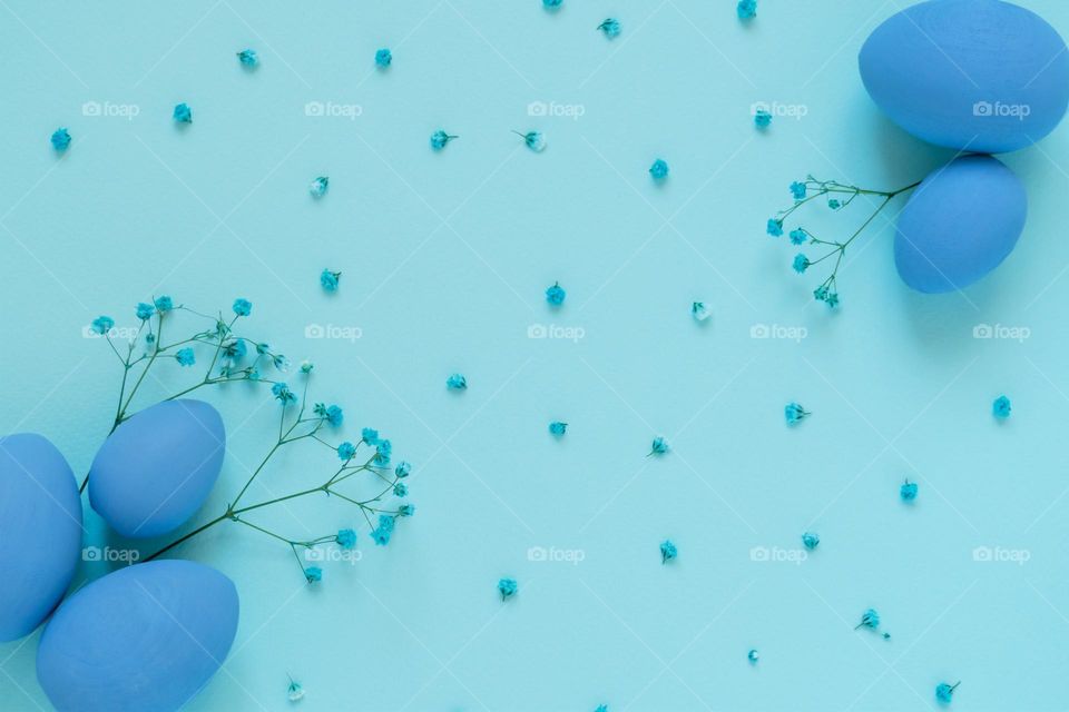 Top view of Easter composition with blue eggs and twigs of flowers on blue background