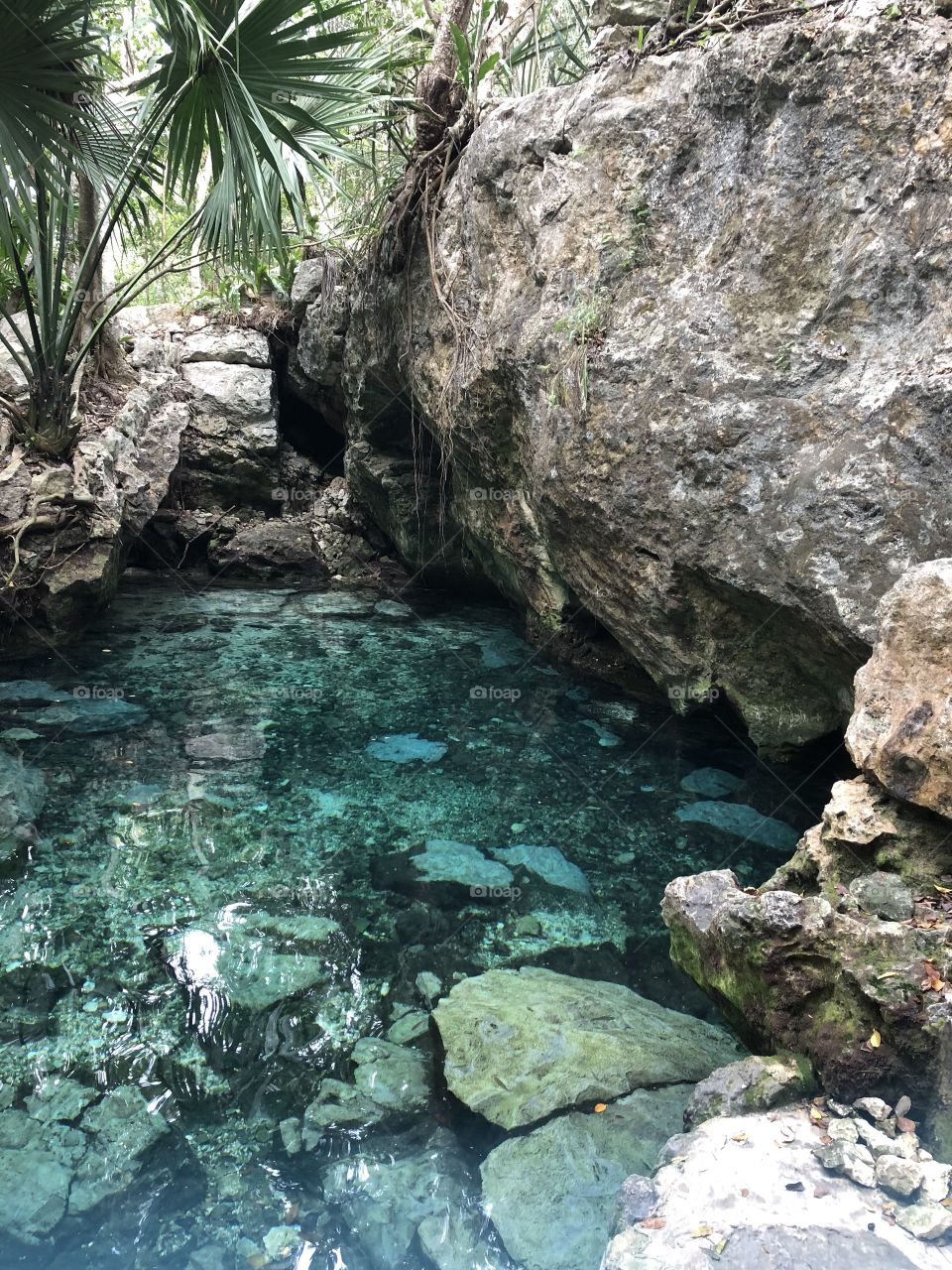 Cenote in Tulum, Mexico.