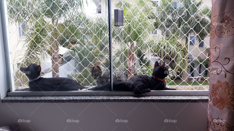 Lilith, Mark e Banguela