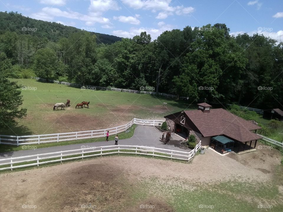 Bathing the horses after a ride