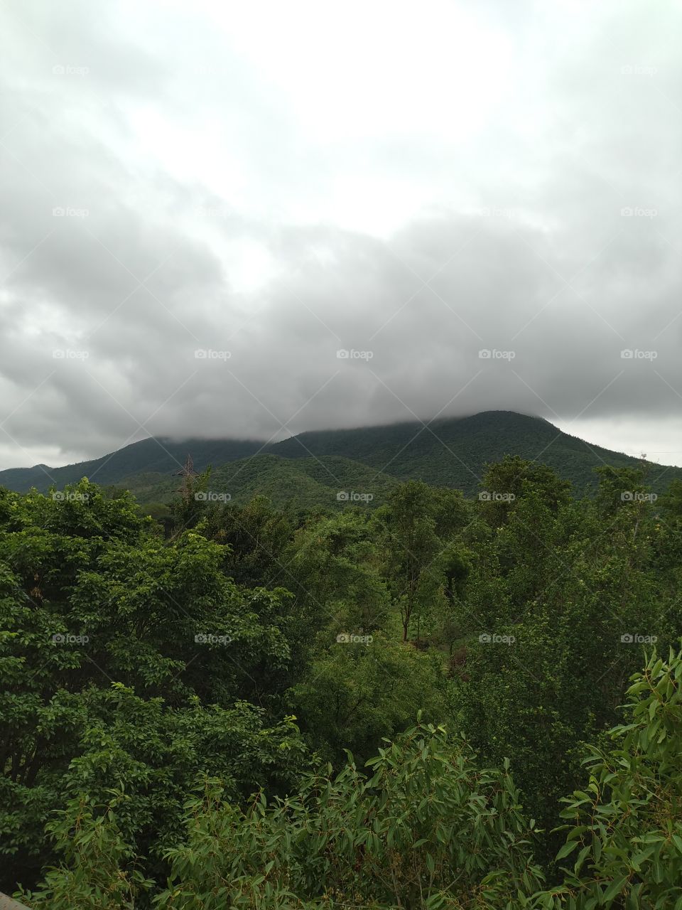 when sky fall in love with the hill