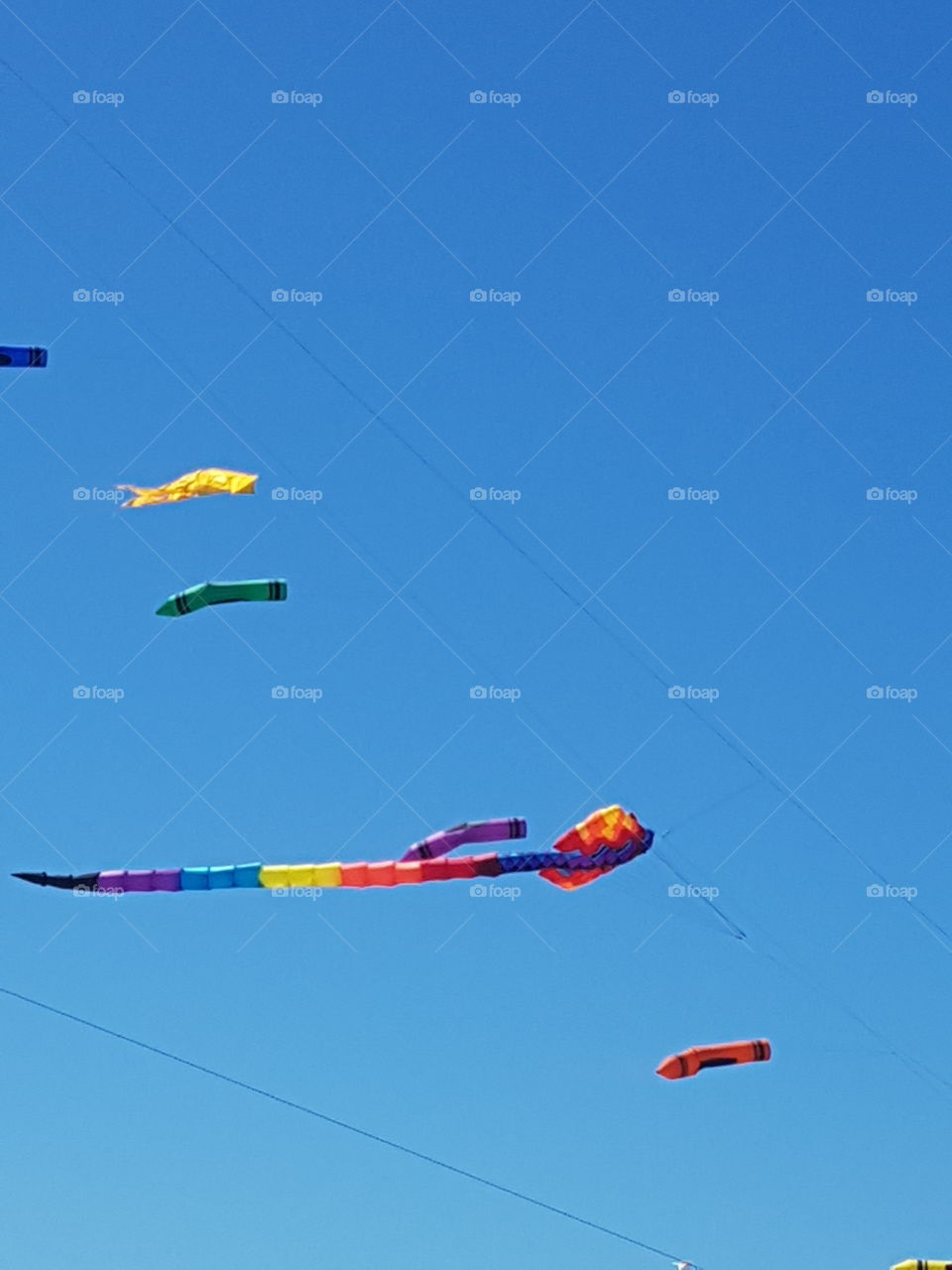 kites