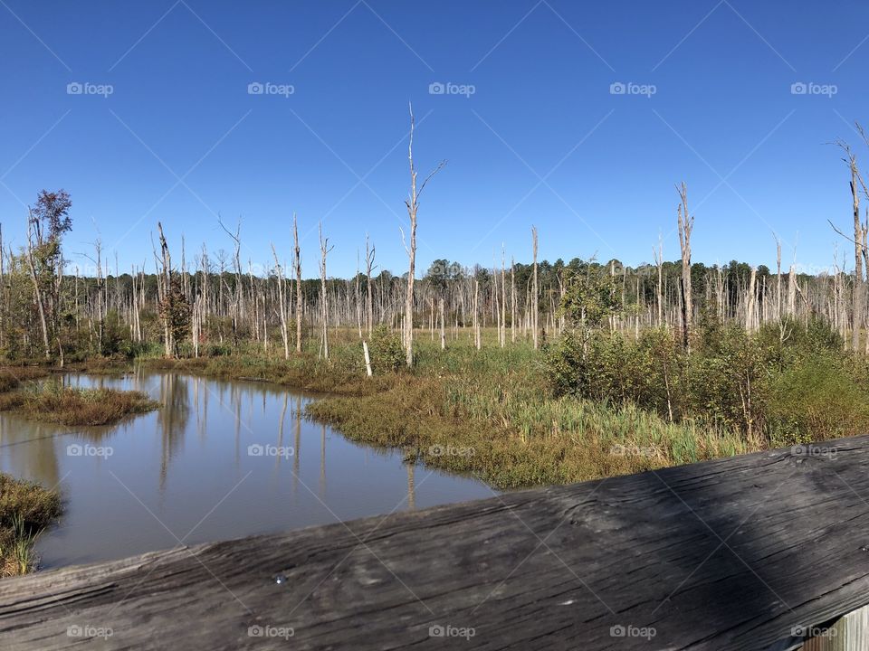 Beaver Creek, Apex, NC