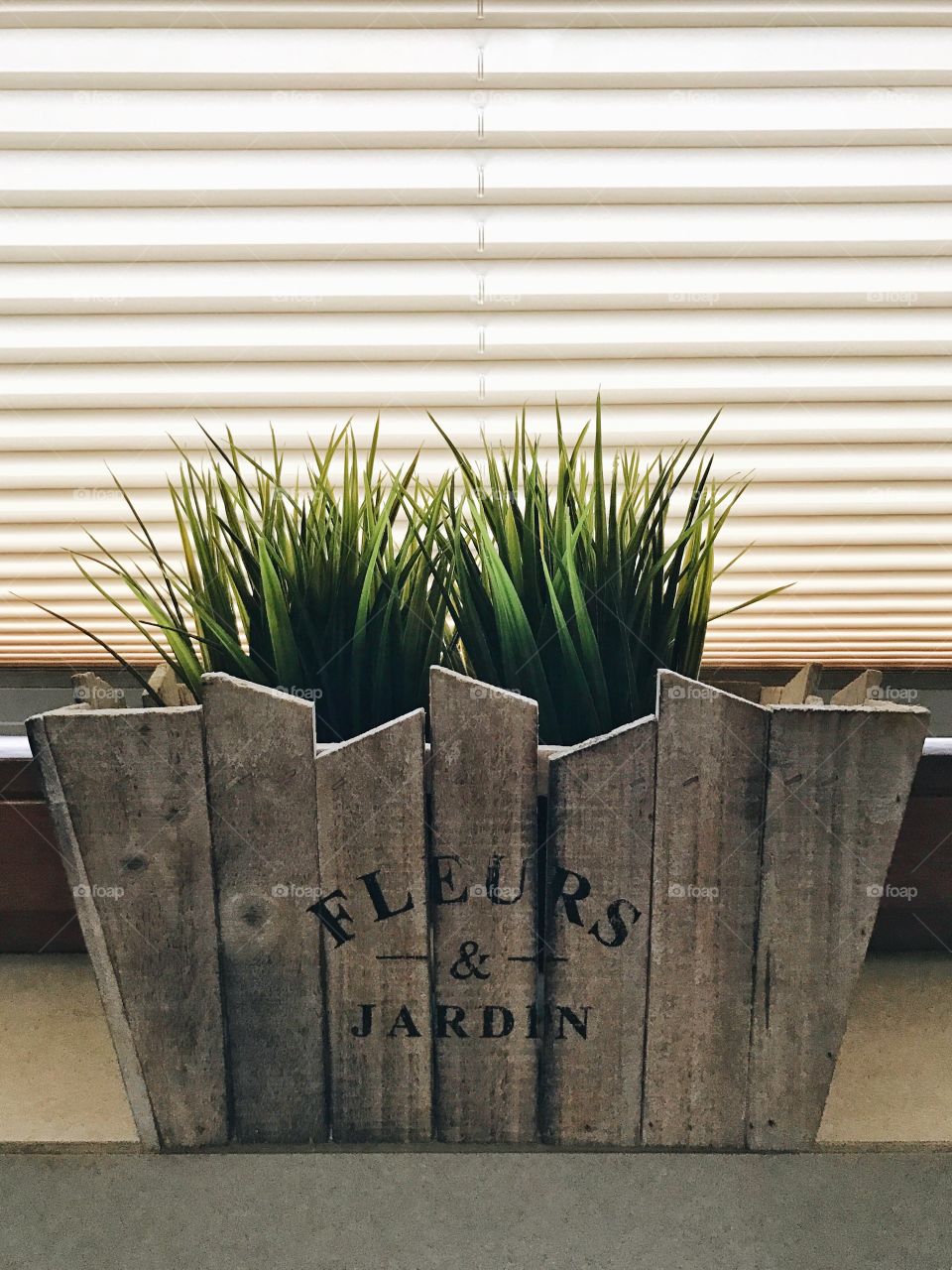 Plant