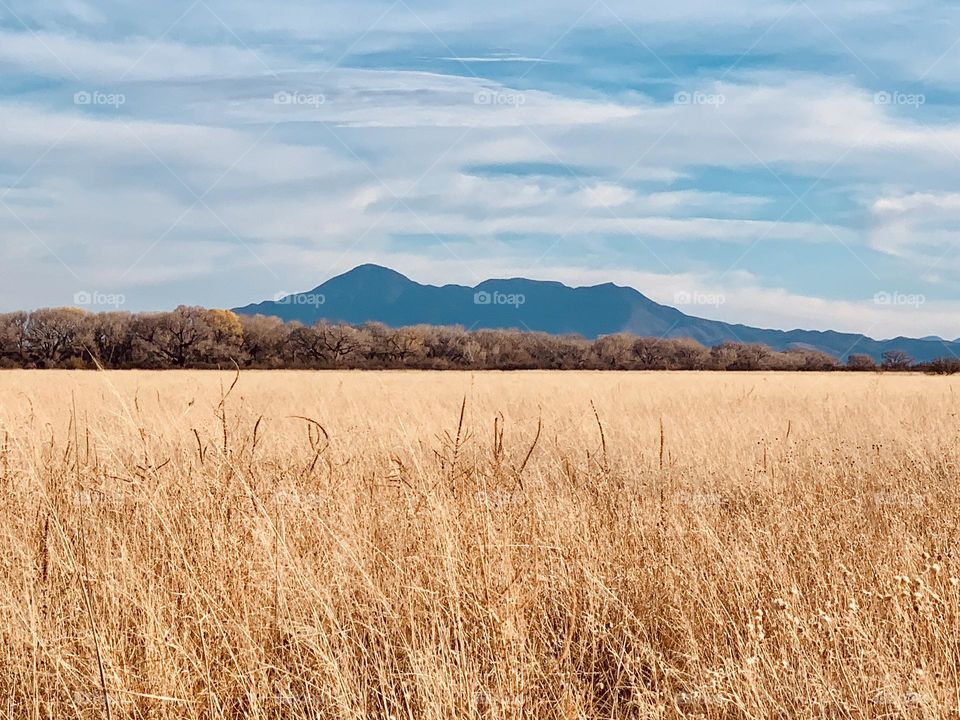 Looking at the Mexican  mountain Range in the desert 