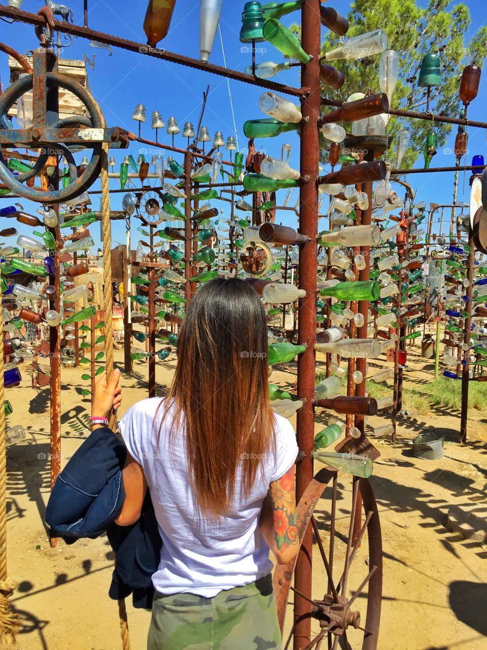 Looking the bottle tree ranch. Looking the bottle tree ranch on the route 66