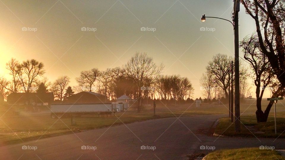 Dawn, Fog, Tree, No Person, Sunset