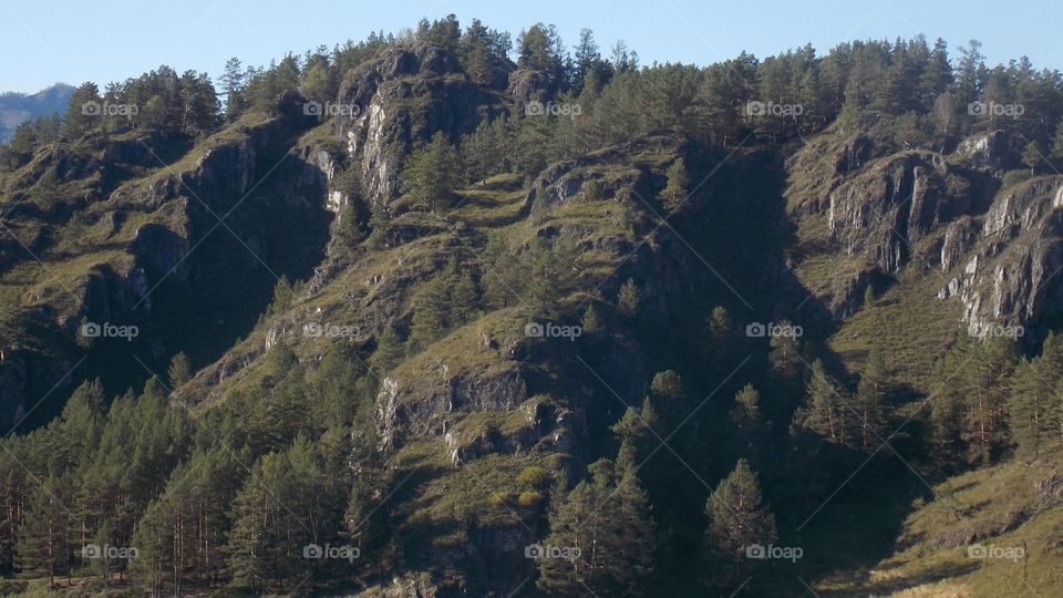 Mount Beshpec. A low rocky ridge at the confluence of the Chemal and Katun rivers. A low, fairly flat mountain, covered with forest. The height of the mountain is about 500 meters above sea level.