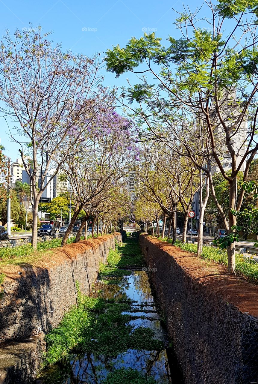 street view  - street  - Jundiaí SP Brazil
