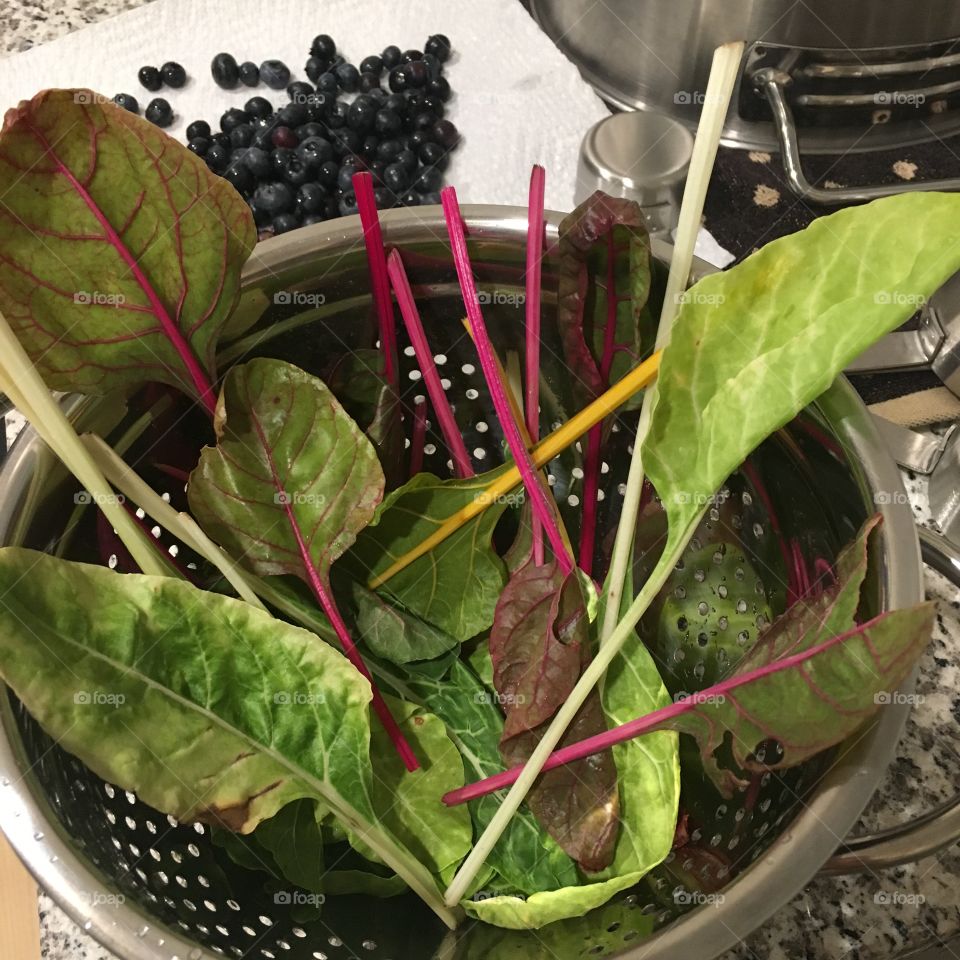Colorful Swiss Chard in Silver Colander with Blueberries 