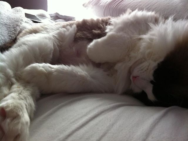 Laaaazy