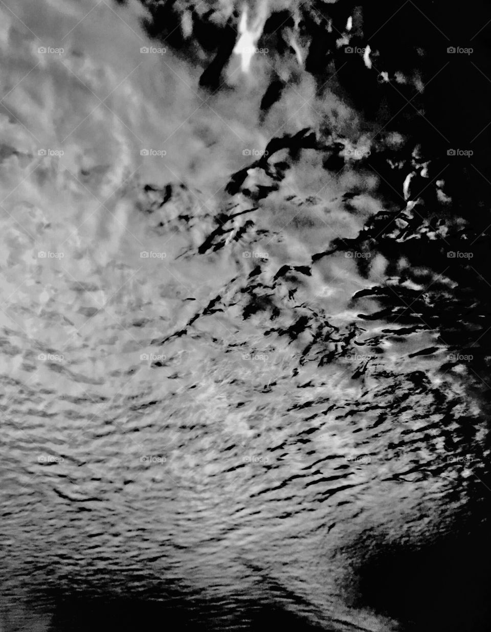 Water in black & white 