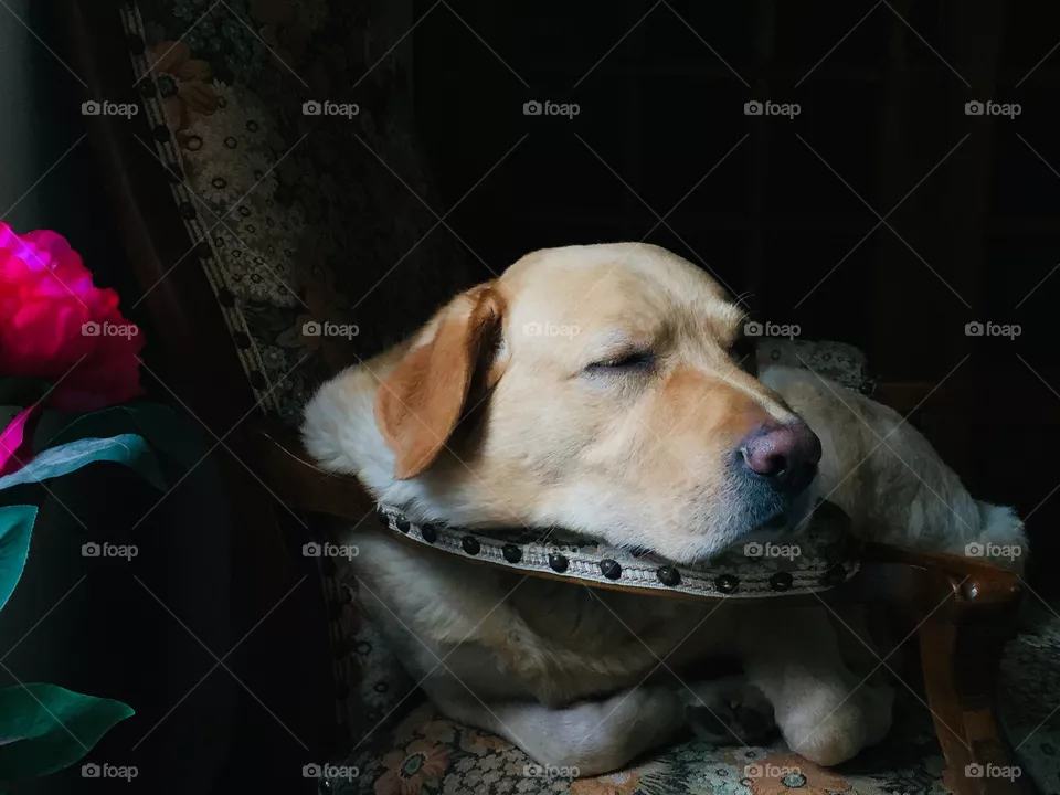 Don’t speak 