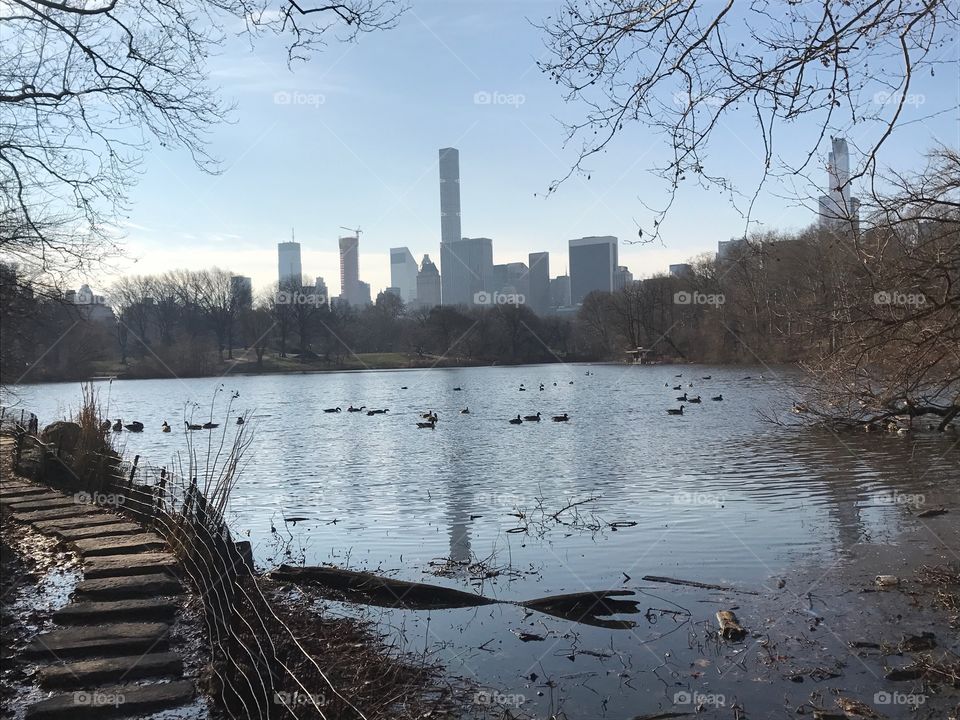 Spring in Central Park