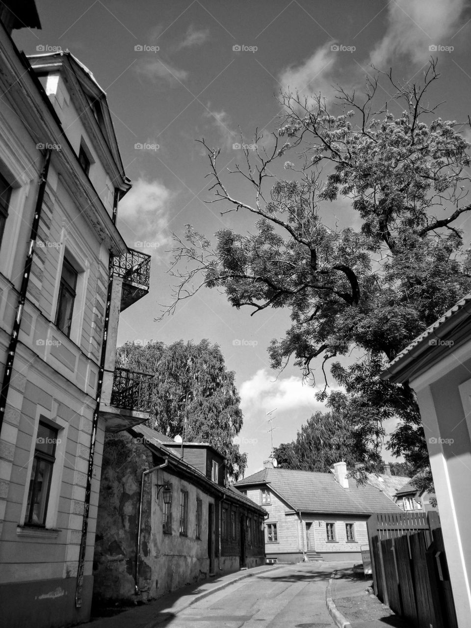 "The most colorful thing in the world is black and white, it contains all colors and at the same time excludes all."
~Vikrmn, 10 Alone