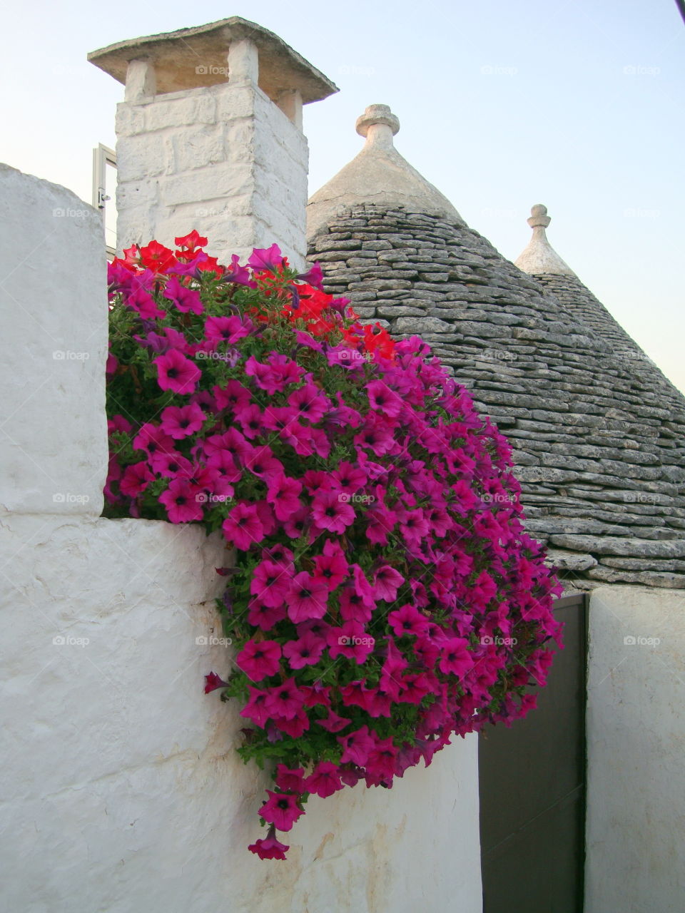 flowers at Alberobello