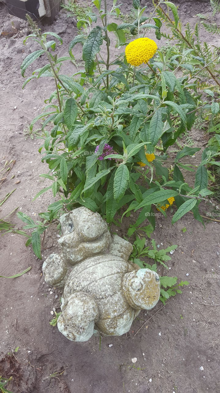 Sie liegt und liegt und liegt.