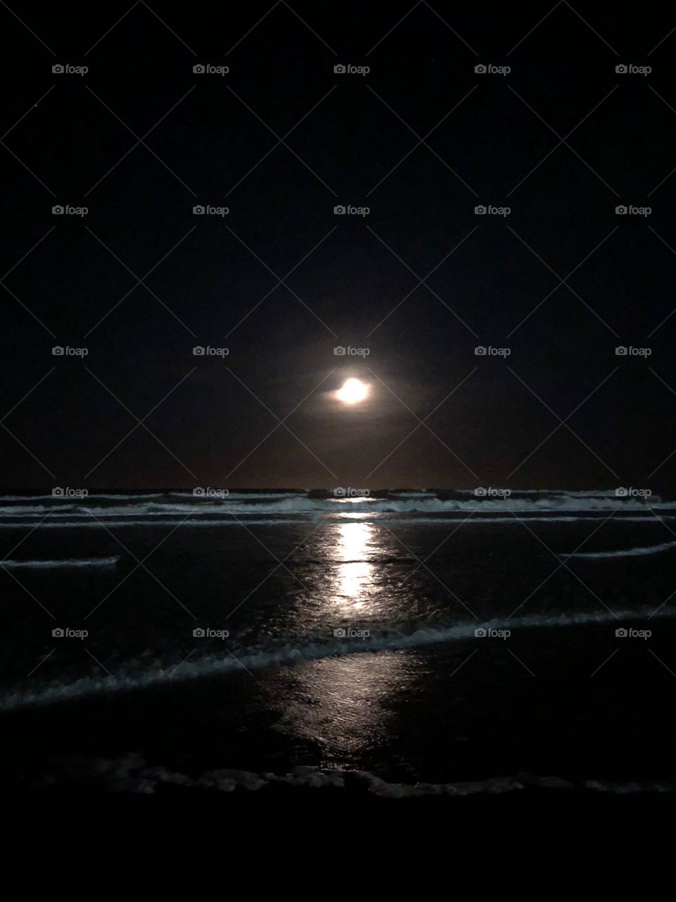 🌕