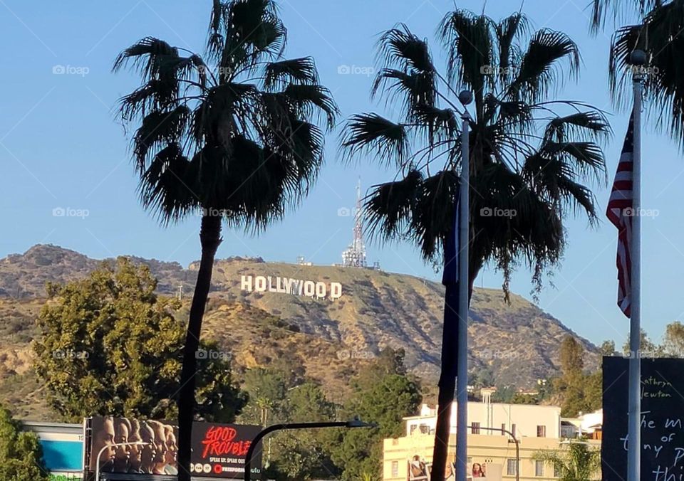 Hollywood sign from Hollywood Boulevard. 