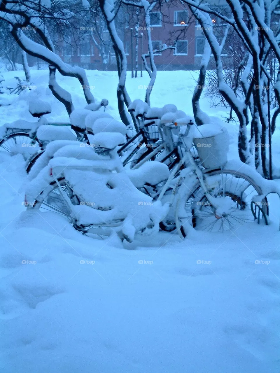 Winter