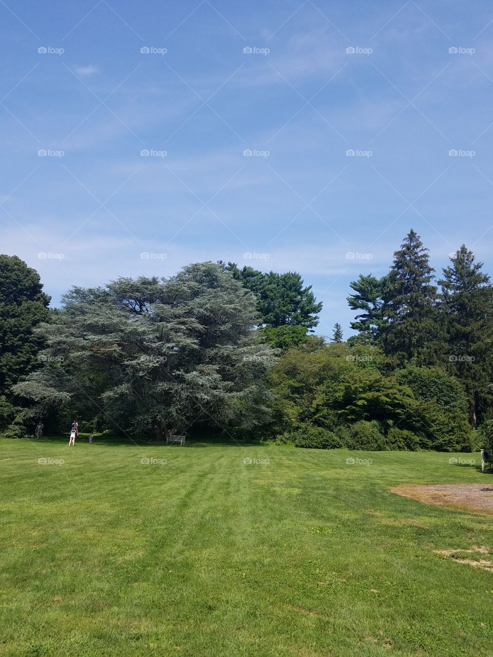 Planting Fields Arboretum State Park, Oyster Bay, NY - August 2017 - Taken on Android Phone - Galaxy S7 - Exploring the Grounds on a Lazy Sunday near the end of Summer