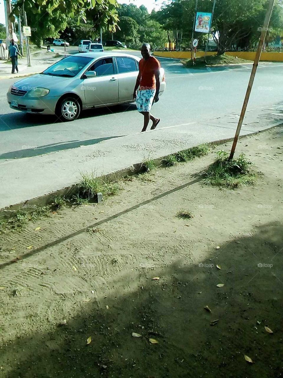 look what do I see I see a car come at me . and ware was I sitting on wall looking to see if  I could get some beautiful picture  to day.