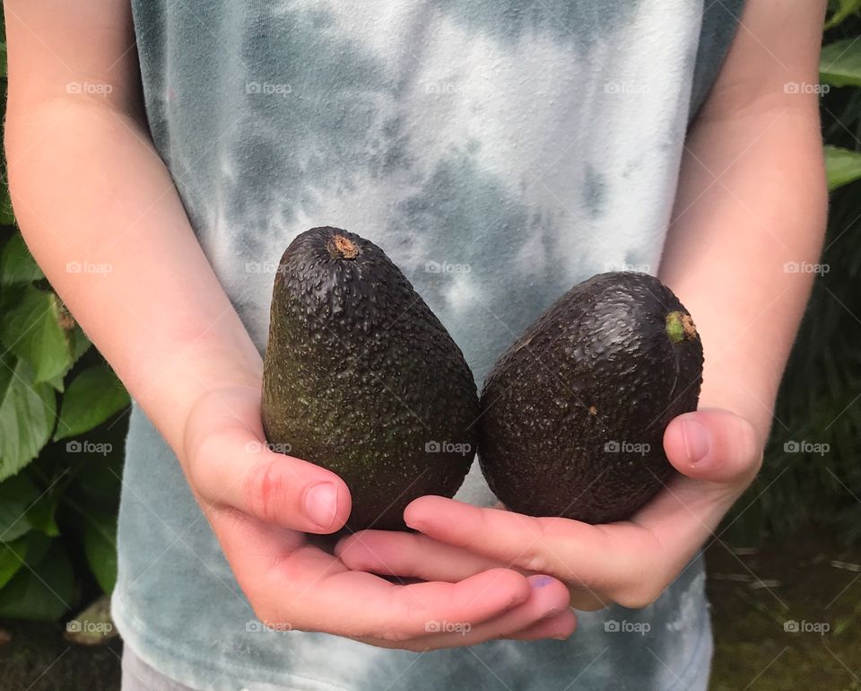 Healthy snacks- boy holding avocado fruit 