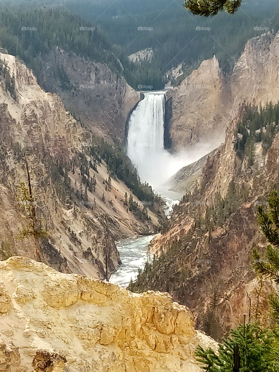 water fall at Yellowstone National Park