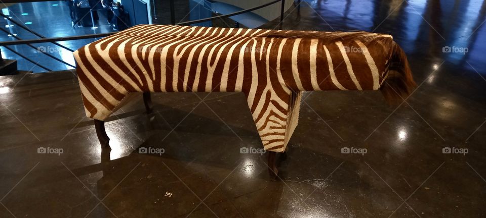 Deu Zebra no Museu