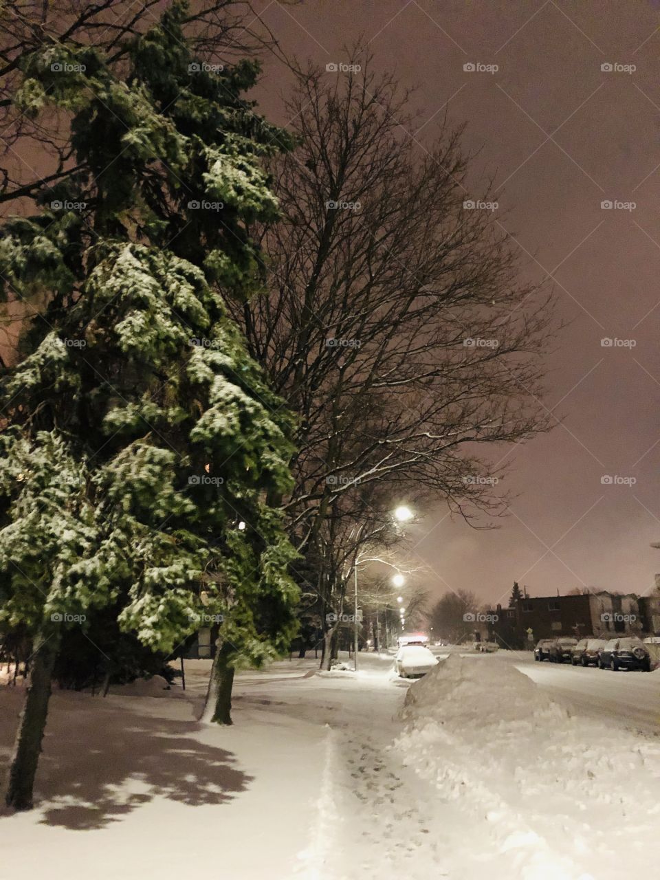 Snow Storm Night 05-January 08 2019-Montreal, Quebec, Canada 