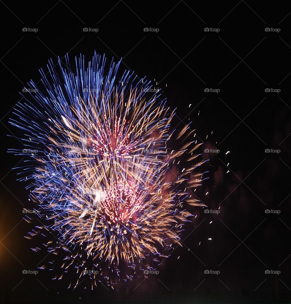 Fireworks exploding in sky