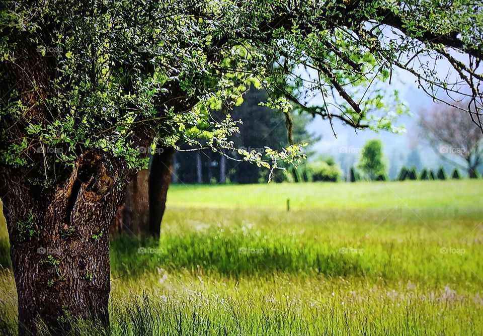 Autumn rain reflection