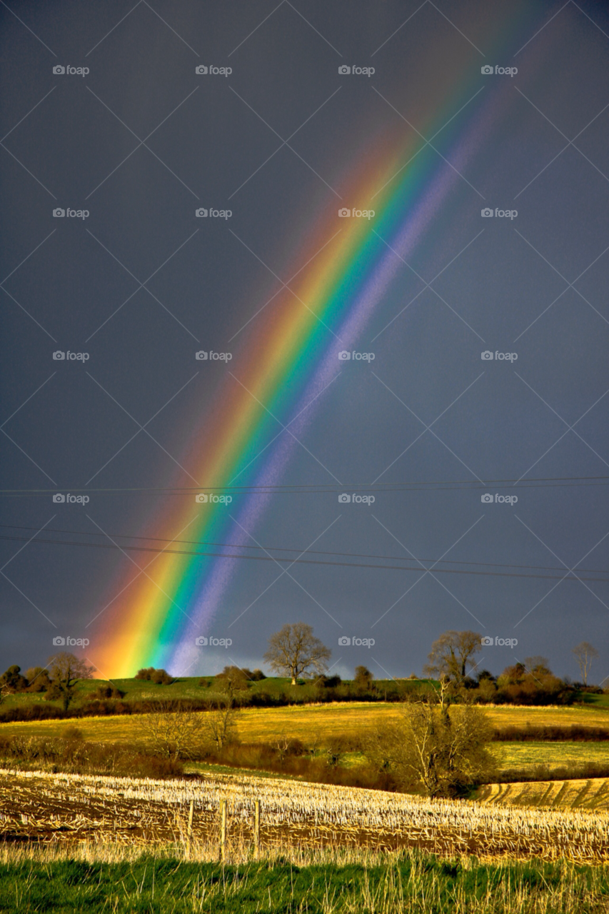 field nature rainbow colours by maapu