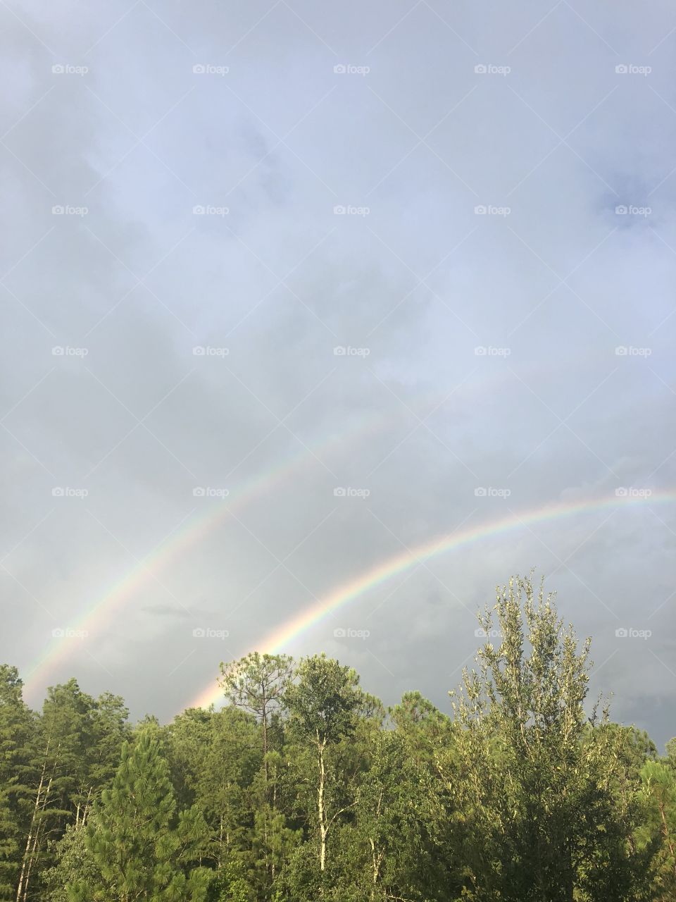 Double rainbow 