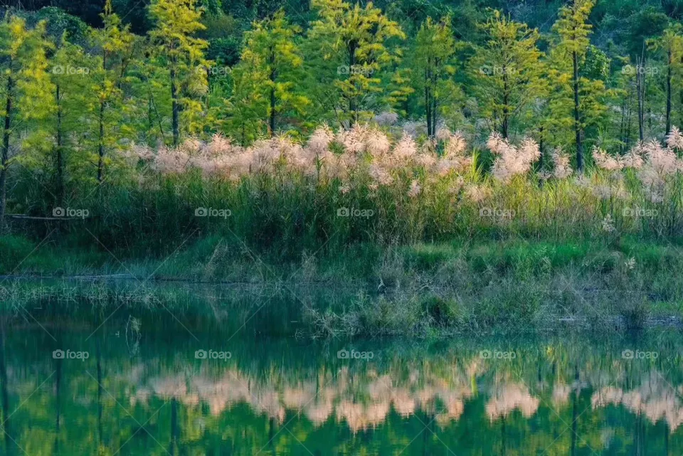 Mother Nature