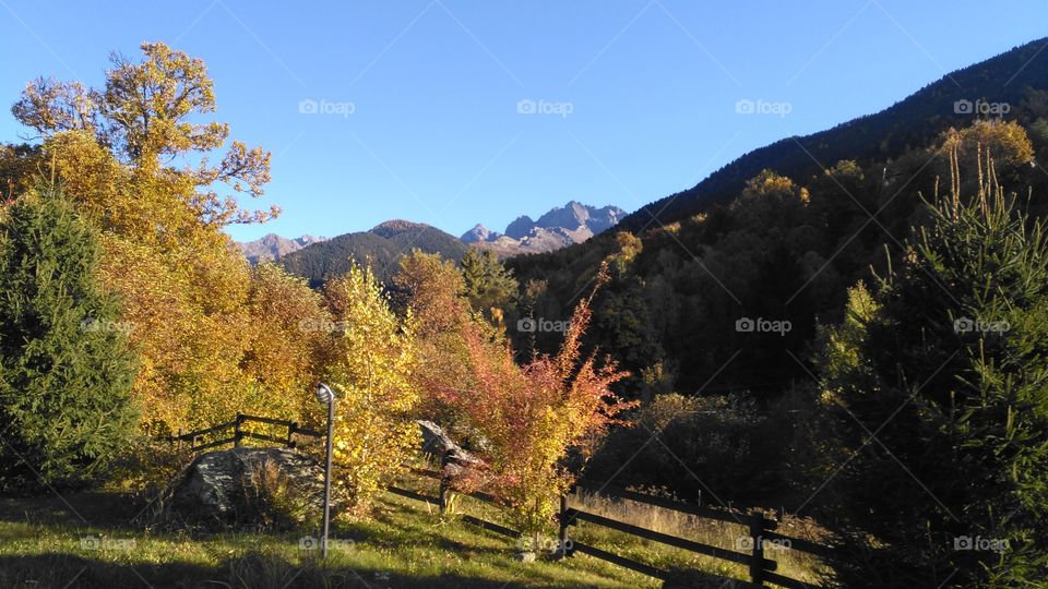 colori autunnali in Valtellina