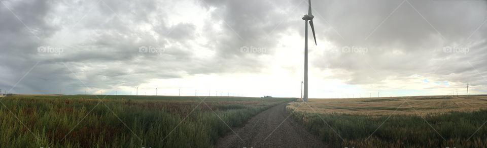 Wind farm in the prairies 