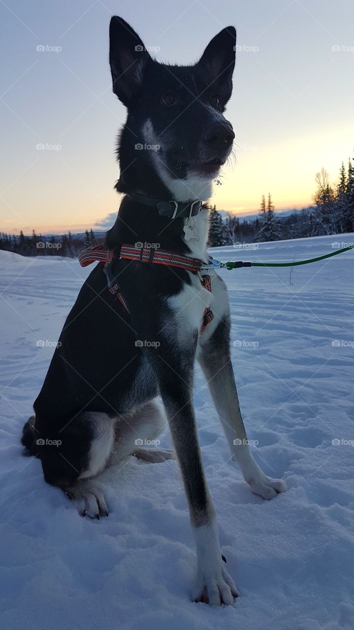 Winter sunset walk