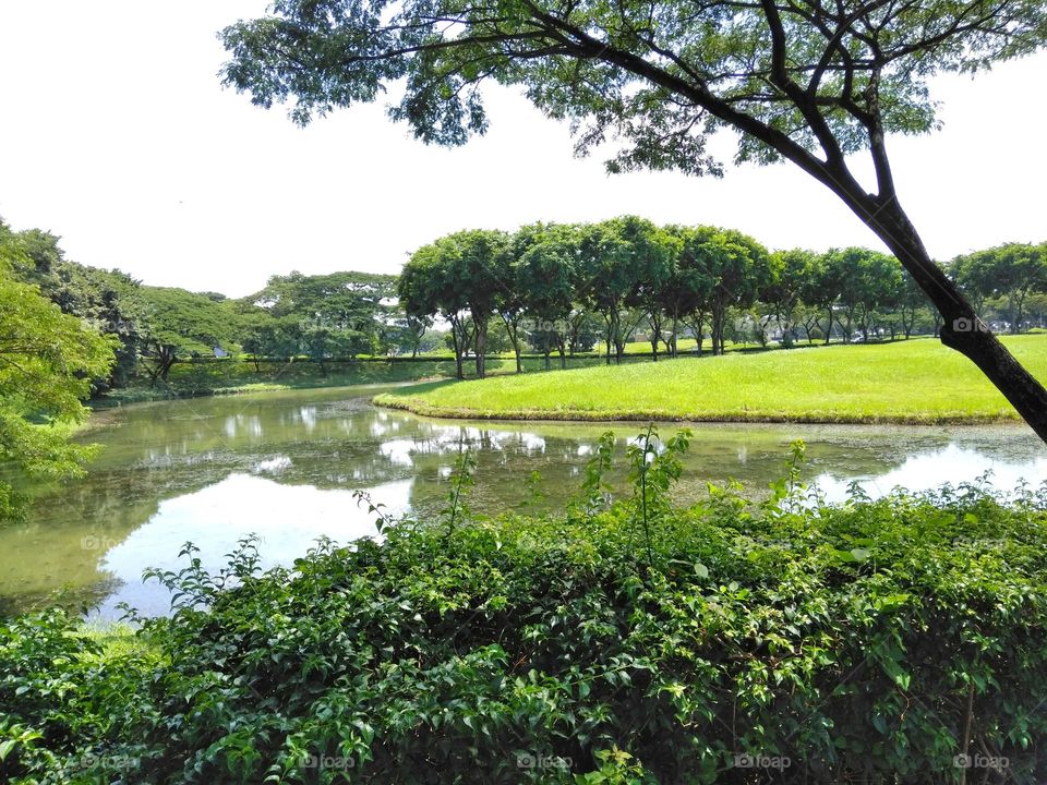 Beautiful lake on the park