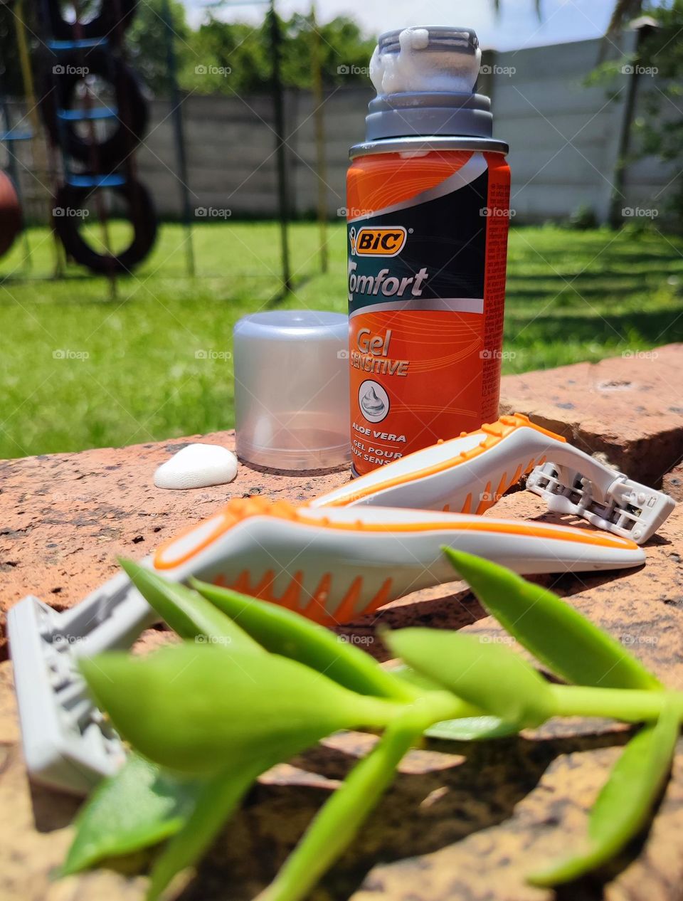 Shaving cream and razors