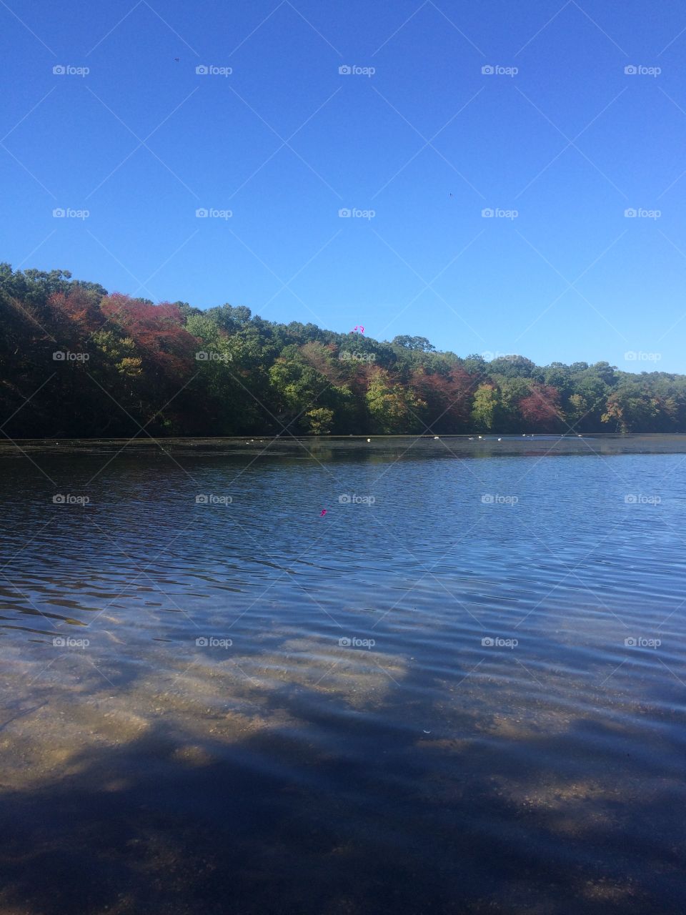 Lovely lake on a smoke break. Autumn leaves settling in