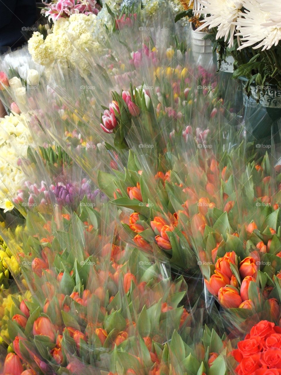 Flowers in floral market