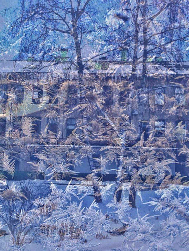 winter