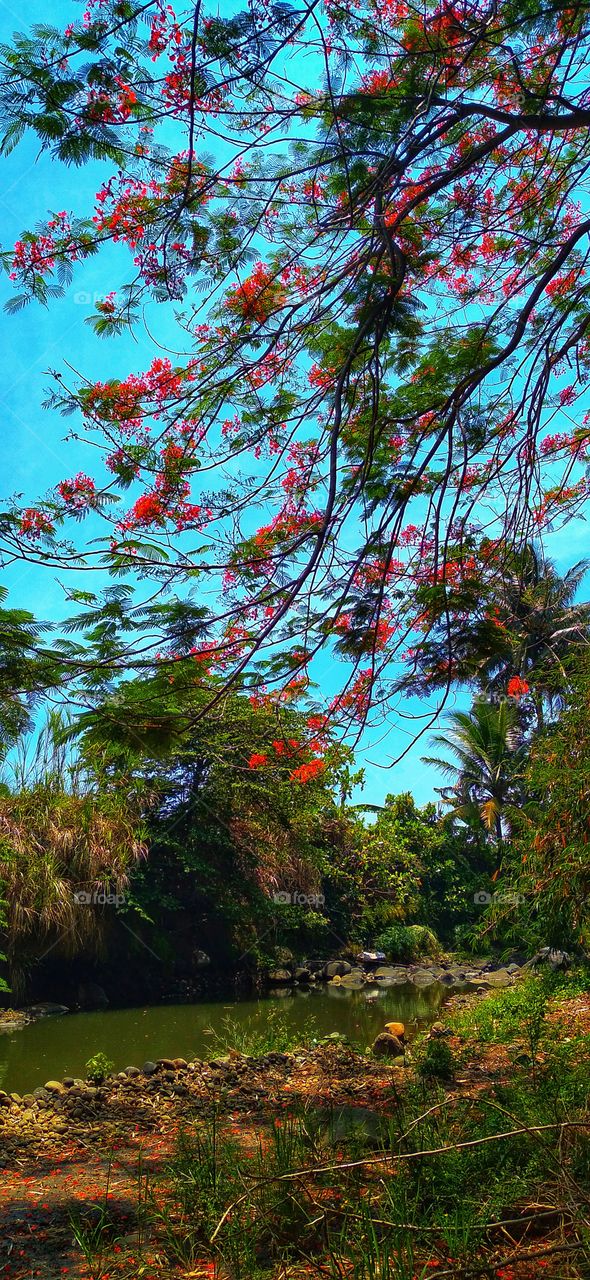 Everything has its beauty, but not everyone sees it.