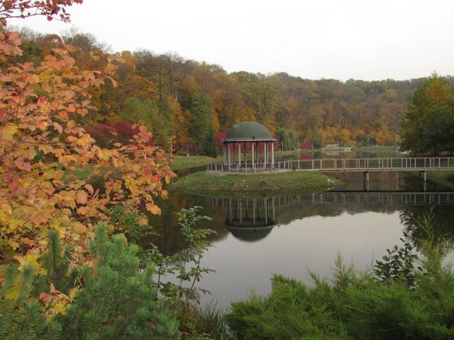 In the city park