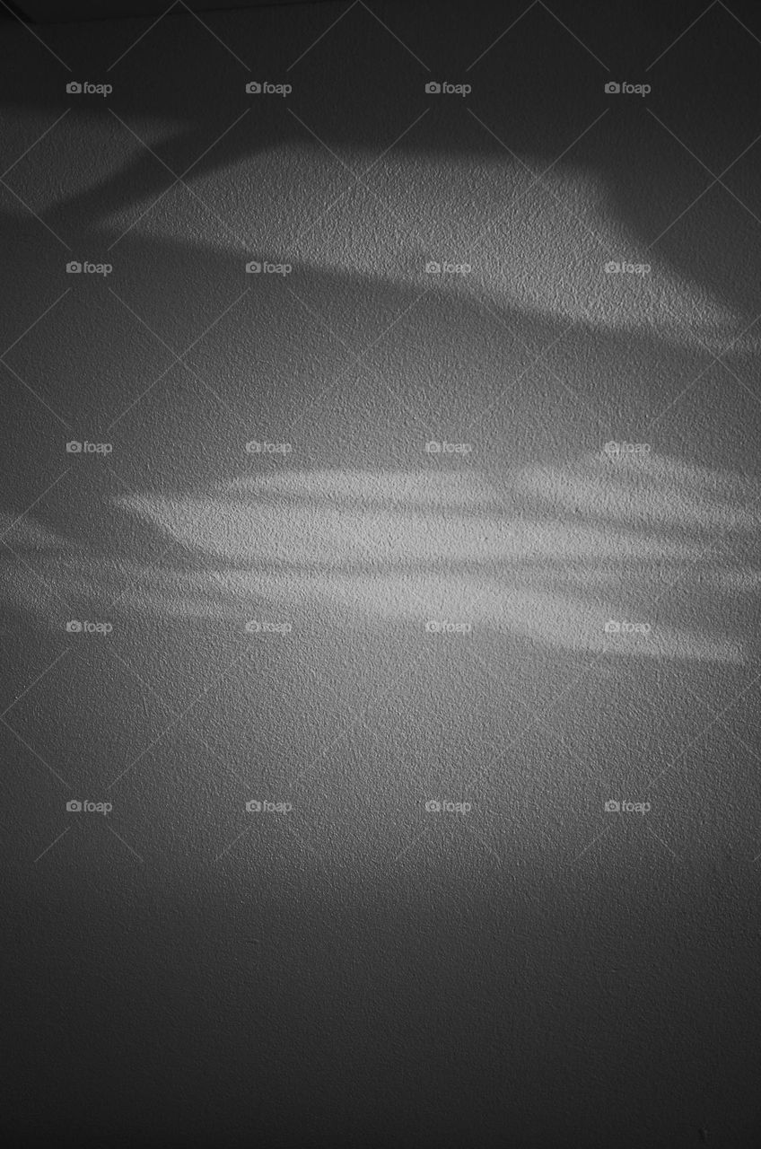 streaks of light in black and white