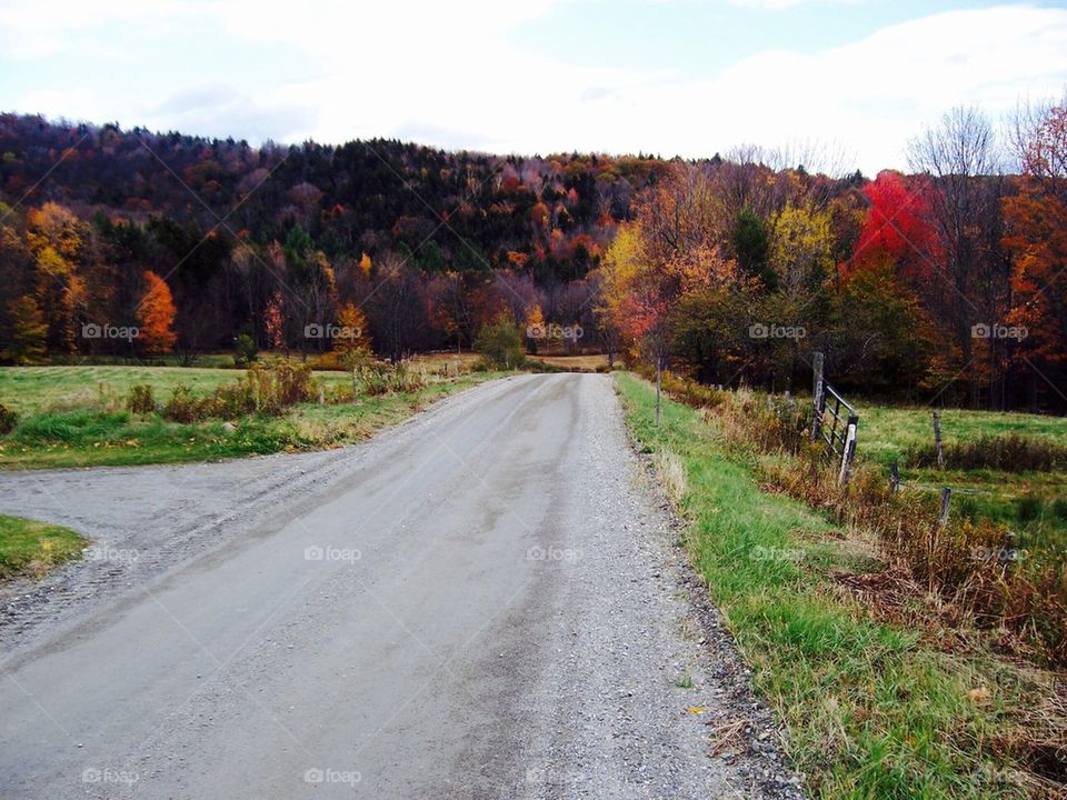 Autumn Country Road. 